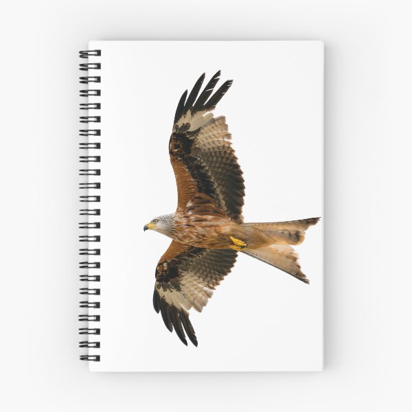 Item preview, Red Kite in flight designed and sold by inspireyoureyes.
