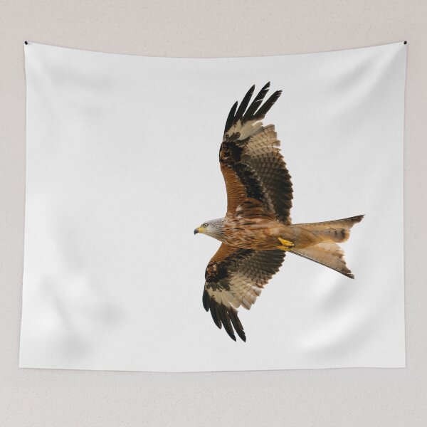 Item preview, Red Kite in flight designed and sold by inspireyoureyes.