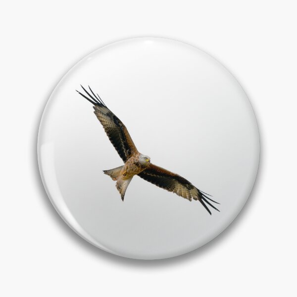 Item preview, Red Kite in flight designed and sold by inspireyoureyes.
