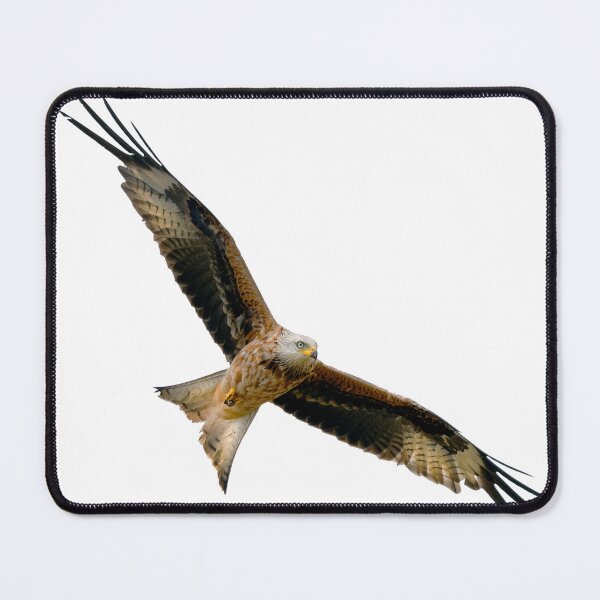Item preview, Red Kite in flight designed and sold by inspireyoureyes.