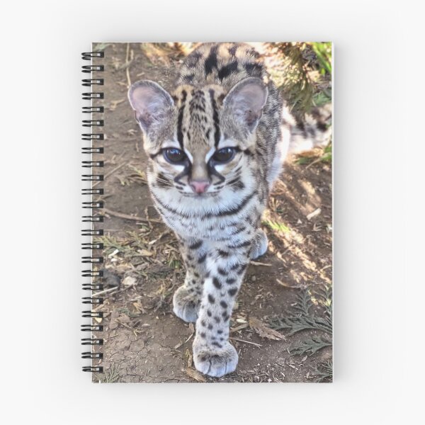 Item preview, Margay designed and sold by megjayne-photos.