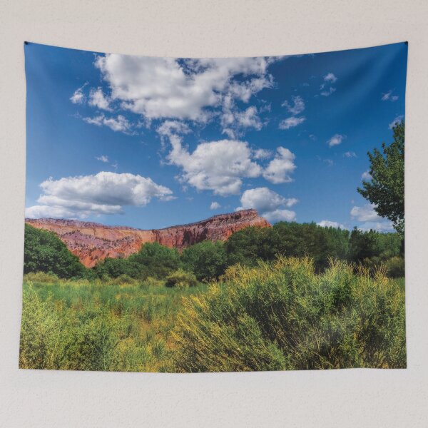 Item preview, Ghost Ranch Desert designed and sold by Kay Brewer.