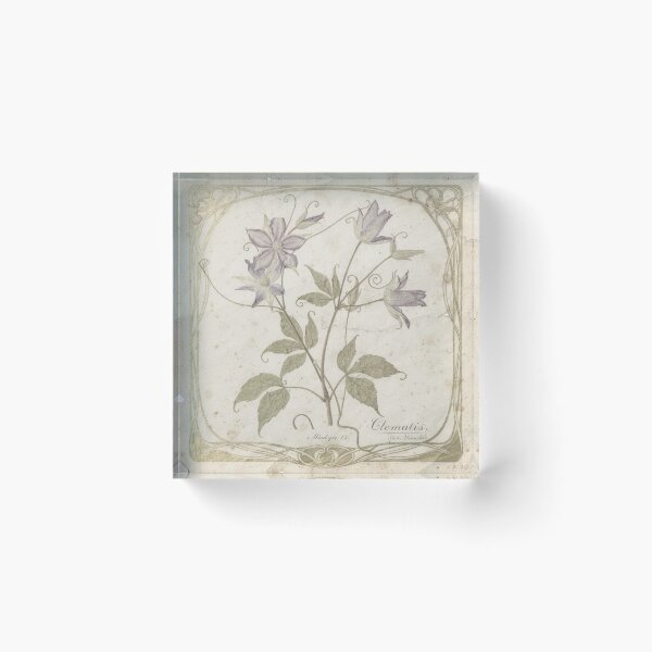 Item preview, Vintage Pressed Clematis Botanical Plate designed and sold by PictorialWhimsy.
