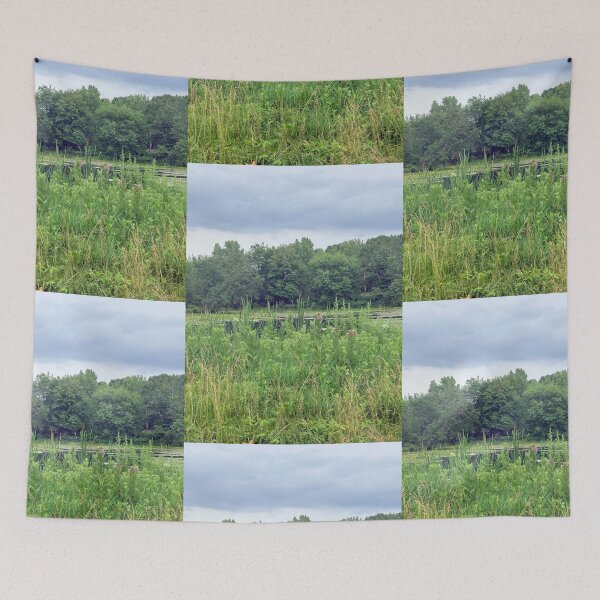 Item preview, Overlooking the pond designed and sold by Harmonyfellowship23.