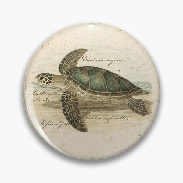 Item preview, Vintage Sea Turtle Specimen Natural History Plate designed and sold by PictorialWhimsy.