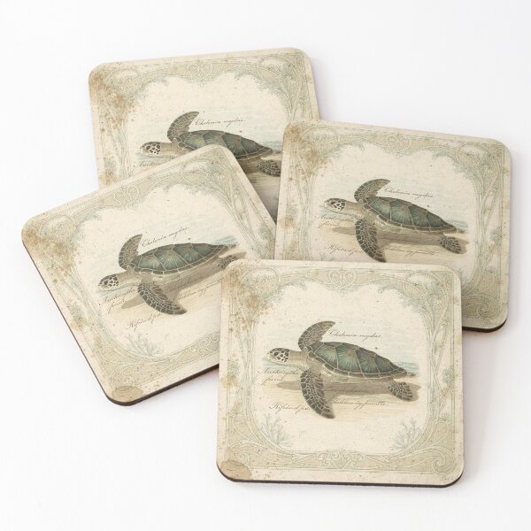 Item preview, Vintage Sea Turtle Specimen Natural History Plate designed and sold by PictorialWhimsy.