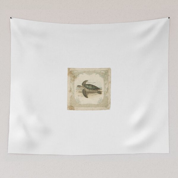Item preview, Vintage Sea Turtle Specimen Natural History Plate designed and sold by PictorialWhimsy.