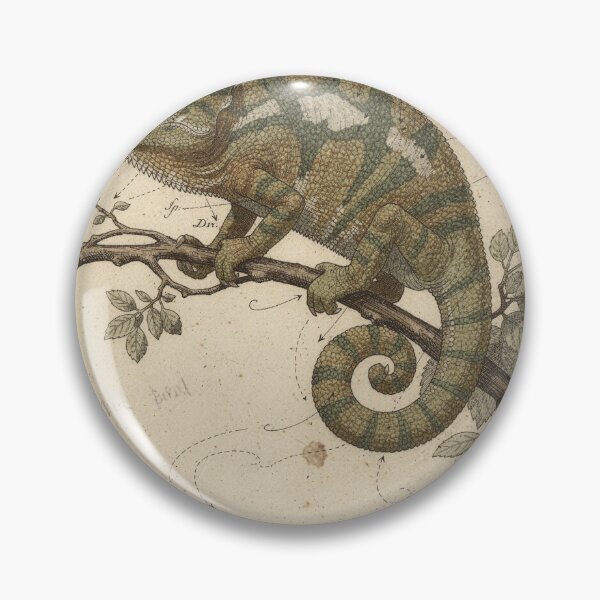 Item preview, Vintage Chameleon Specimen Natural History Plate designed and sold by PictorialWhimsy.