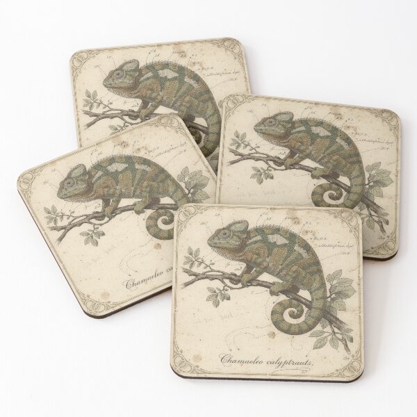 Item preview, Vintage Chameleon Specimen Natural History Plate designed and sold by PictorialWhimsy.