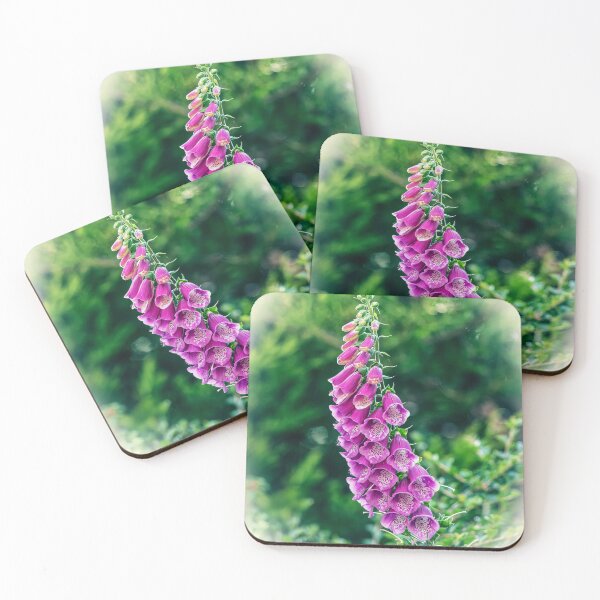 Item preview, Foxglove Macro designed and sold by Tom McPherson Photography.