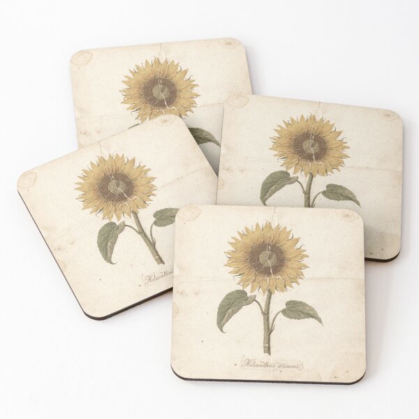 Item preview, Antique Pressed Sunflower Botanical Plate designed and sold by PictorialWhimsy.