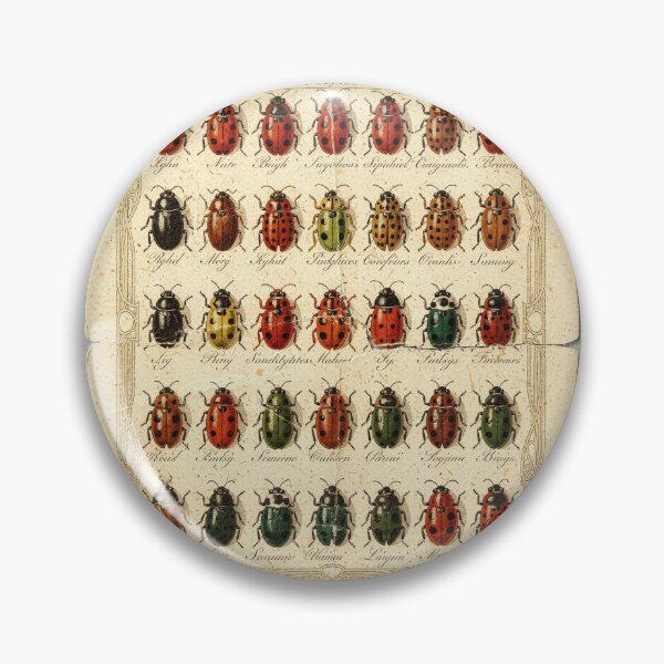 Item preview, Vintage Ladybird Beetle Specimen Plate designed and sold by PictorialWhimsy.
