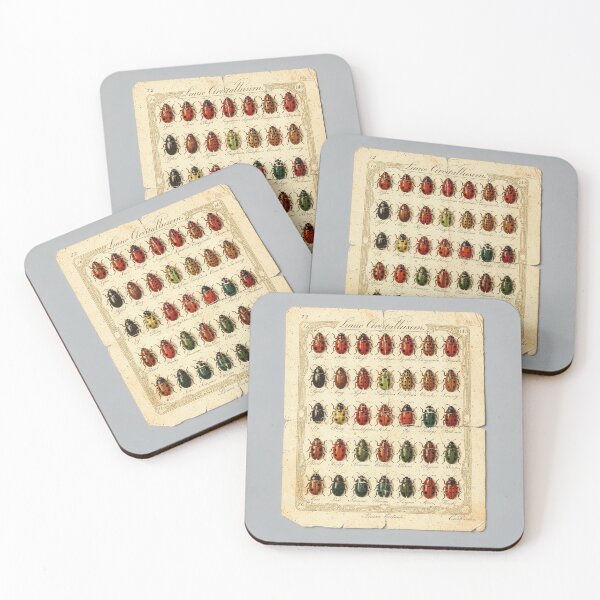 Item preview, Vintage Ladybird Beetle Specimen Plate designed and sold by PictorialWhimsy.