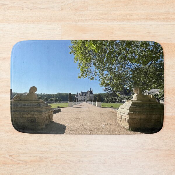 Item preview, Chenonceau Castle designed and sold by dreamtravel.