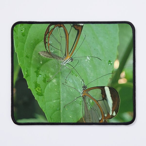 Item preview, Glasswing designed and sold by TiffanyMaeDesign.