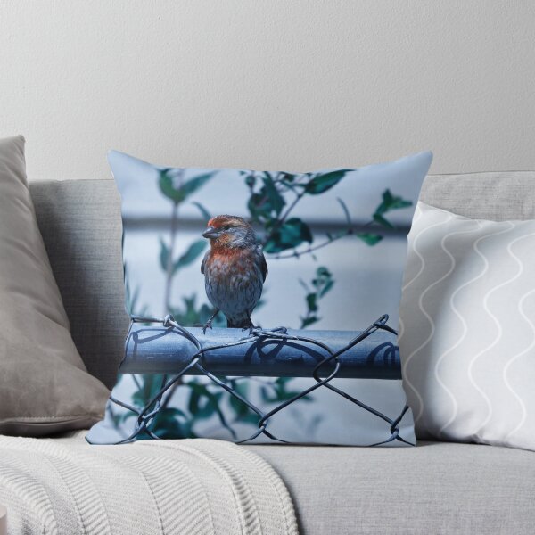 Item preview, House Finch on Fence designed and sold by WilesTheFox.