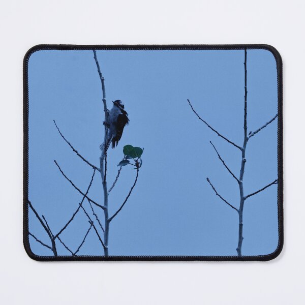 Item preview, House Finch in Tree designed and sold by WilesTheFox.