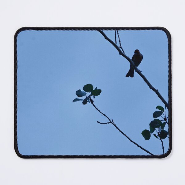 Item preview, Bird in Tree-Silhouette designed and sold by WilesTheFox.