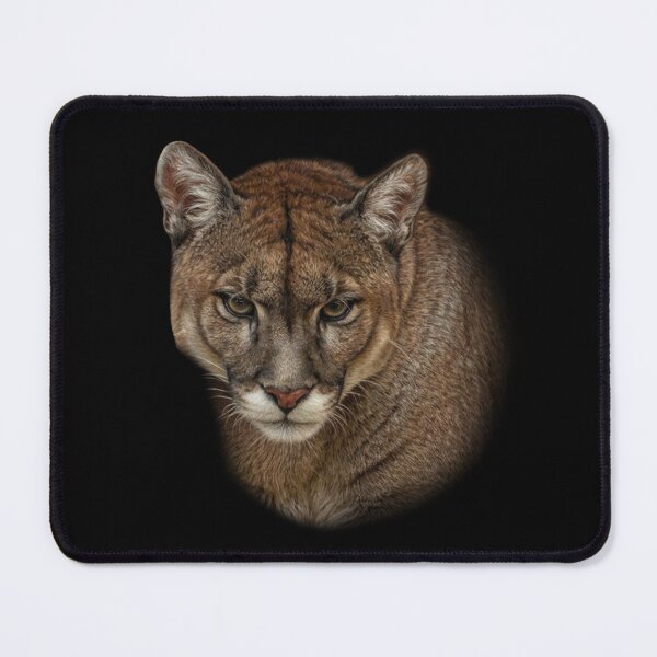 Item preview, Mountain Lion designed and sold by Guardi71.