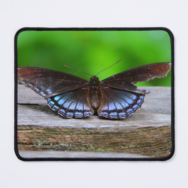 Item preview, Red spotted purple butterfly designed and sold by Parks and X.
