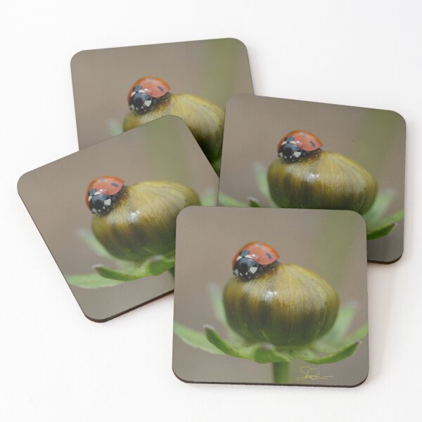 Item preview, Ladybug on Cosmos flower bud designed and sold by Dunnette Imaging.