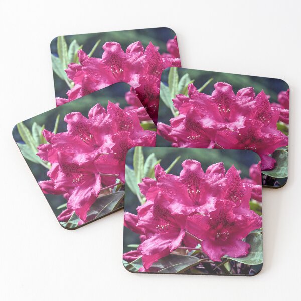 Item preview, Raindrops on a Rhododendron designed and sold by Tom McPherson Photography.