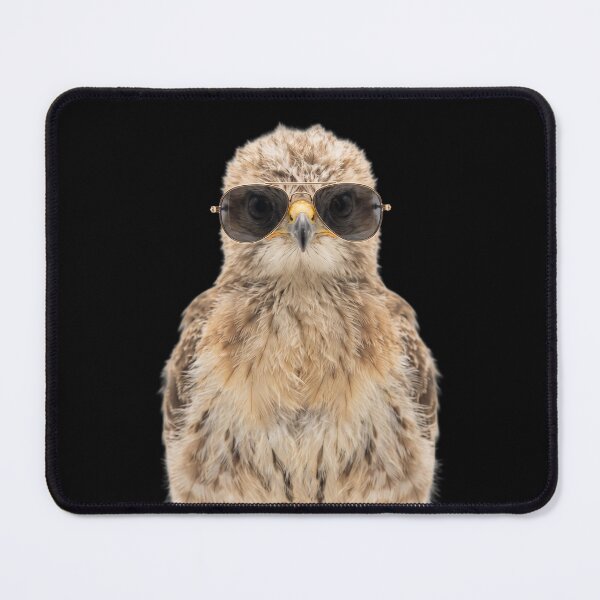 Item preview, Cute Baby Hawk Wearing Sunglasses Funny designed and sold by RareLavender.