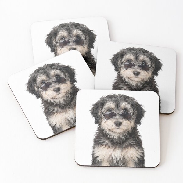 Item preview, Cute Baby Tibetan Terrier Dog Wearing Sunglasses Funny designed and sold by RareLavender.