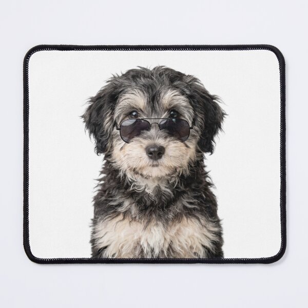Item preview, Cute Baby Tibetan Terrier Dog Wearing Sunglasses Funny designed and sold by RareLavender.