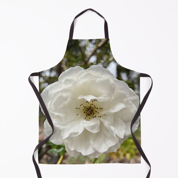 Item preview, Elegant White Rose Botanical Flower Photography designed and sold by Be Captured by Brittany Emma.