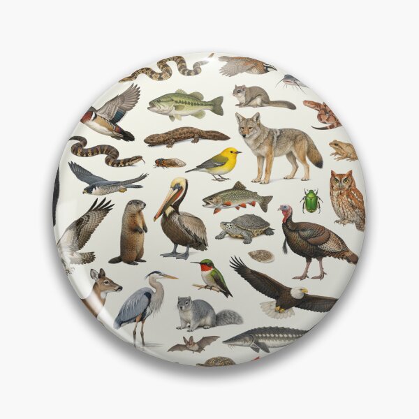 Item preview, Animals of Virginia Retro Style Identification Chart designed and sold by kakarikihill.