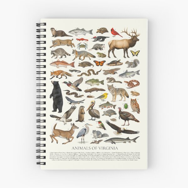 Item preview, Animals of Virginia Retro Style Identification Chart designed and sold by kakarikihill.