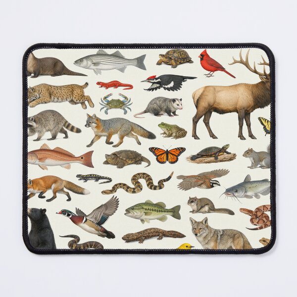 Item preview, Animals of Virginia Retro Style Identification Chart designed and sold by kakarikihill.
