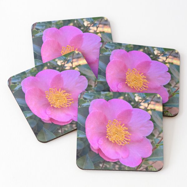 Item preview, Pink Camellia Flower Botanical Garden Photography designed and sold by Be Captured by Brittany Emma.