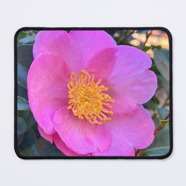 Item preview, Pink Camellia Flower Botanical Garden Photography designed and sold by Be Captured by Brittany Emma.