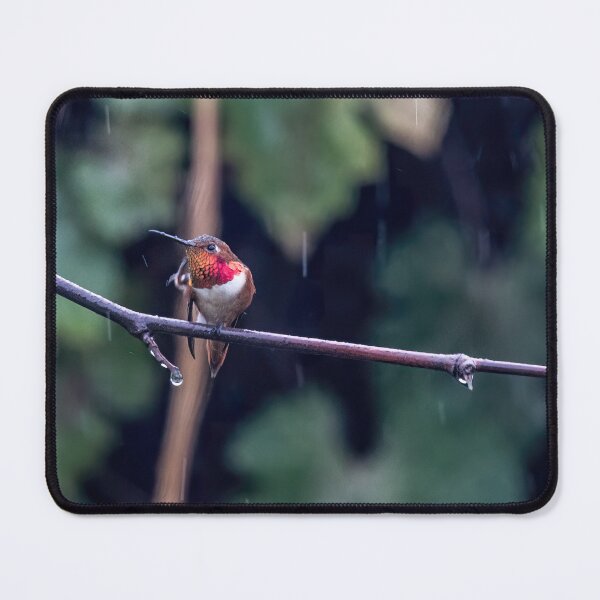 Item preview, Hummer in the Rain designed and sold by CarolM.