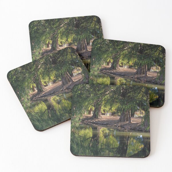 Item preview, Fairmount Park in Riverside, California designed and sold by CarolM.