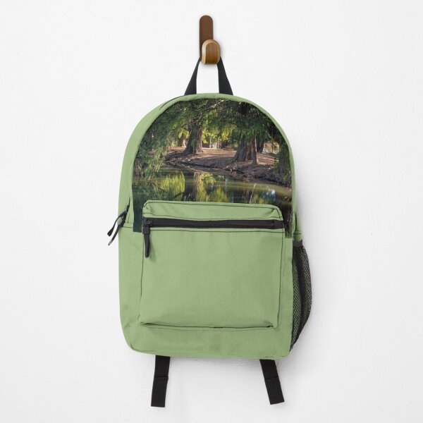 Item preview, Fairmount Park in Riverside, California designed and sold by CarolM.