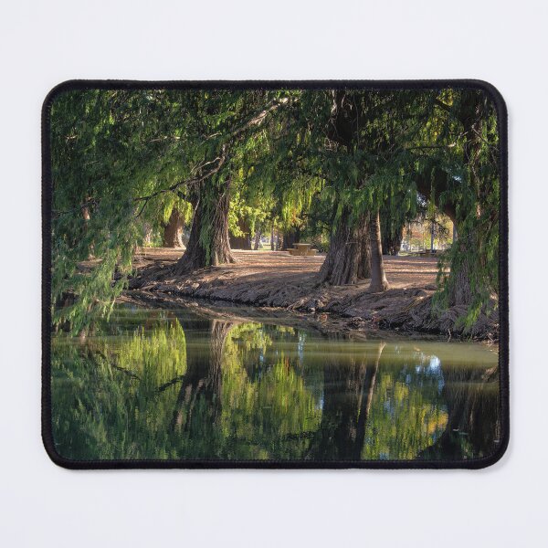 Item preview, Fairmount Park in Riverside, California designed and sold by CarolM.