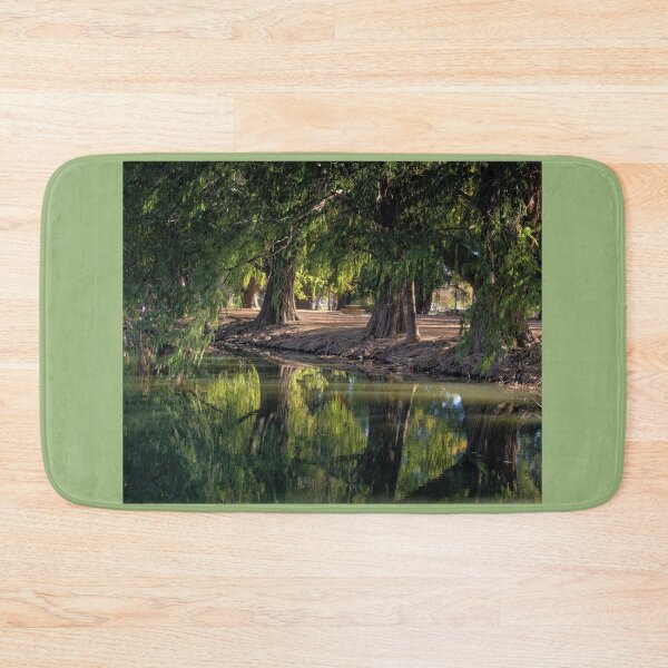 Item preview, Fairmount Park in Riverside, California designed and sold by CarolM.