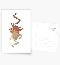 Cacao Postcards