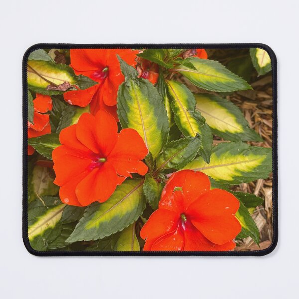 Item preview, Flowers in the orange designed and sold by Jek3il-and-Hyde.