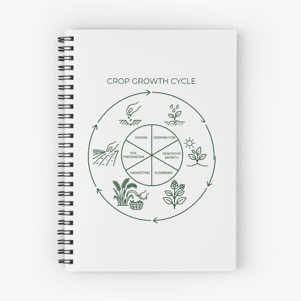 Item preview, Circular Crop Growth Cycle Agriculture Diagram designed and sold by SplashTastic.