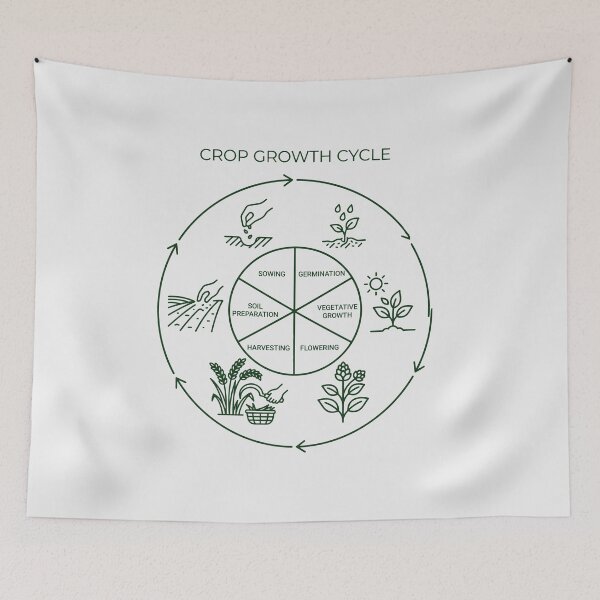 Item preview, Circular Crop Growth Cycle Agriculture Diagram designed and sold by SplashTastic.