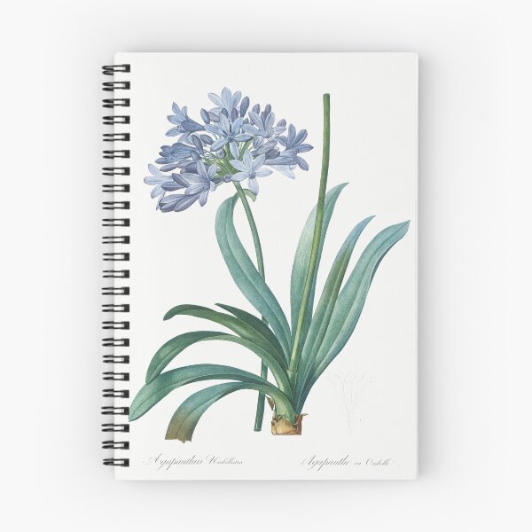 Item preview, Lily of the Nile Flowers Botanical Illustration designed and sold by TheRetroArtRoom.