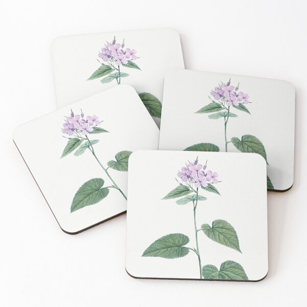 Item preview, Morning Glory Flowers Botanical Illustration designed and sold by TheRetroArtRoom.