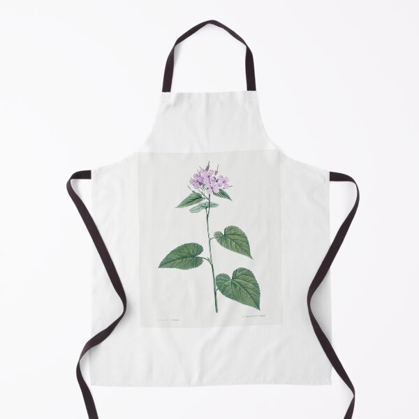 Item preview, Morning Glory Flowers Botanical Illustration designed and sold by TheRetroArtRoom.
