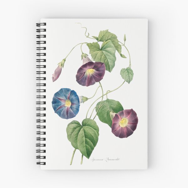 Item preview, Star Morning Glory Flowers Botanical Illustration designed and sold by TheRetroArtRoom.