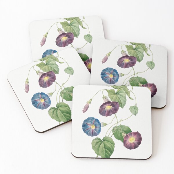 Item preview, Star Morning Glory Flowers Botanical Illustration designed and sold by TheRetroArtRoom.