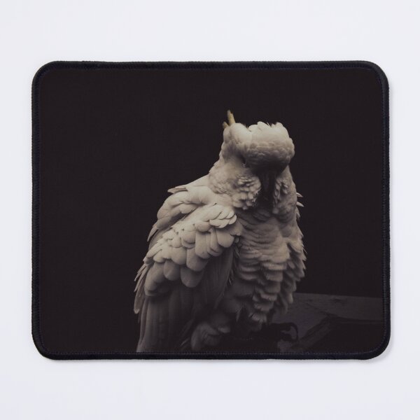 Item preview, Australian Cockatoo designed and sold by RabbottPhotography.